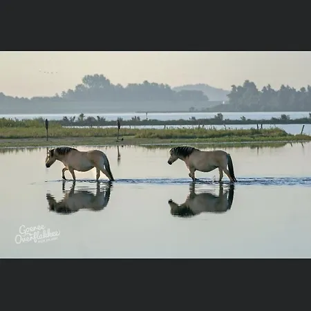 Hébergement de vacances Luxe Monumenten Pand Aan De Haven 10 Personen 5 Slaapkamers
