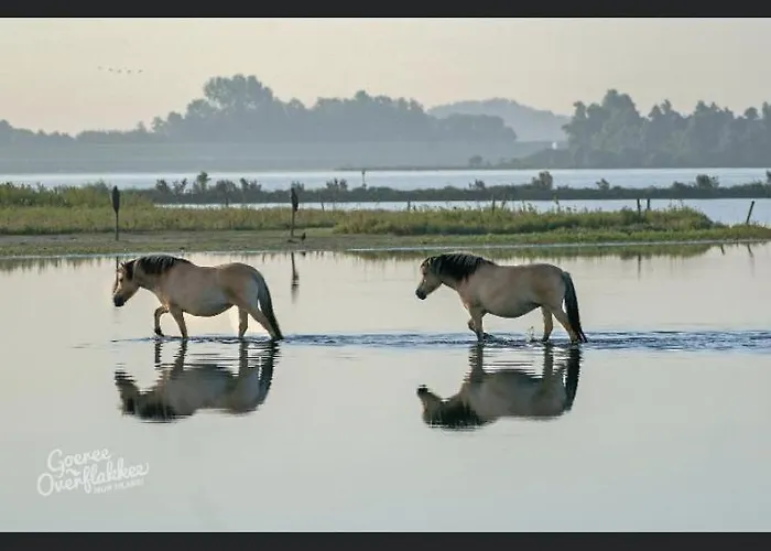 بيت للعطل Luxe Monumenten Pand Aan De Haven 10 Personen 5 Slaapkamers