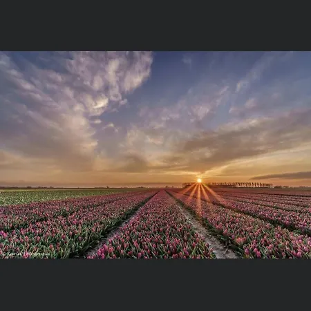 Nyaraló Luxe Monumenten Pand Aan De Haven 10 Personen 5 Slaapkamers Goedereede