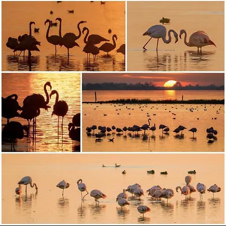 Nyaraló Luxe Monumenten Pand Aan De Haven 10 Personen 5 Slaapkamers