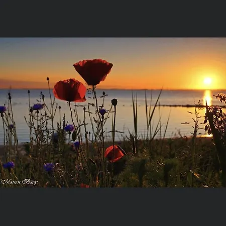 Luxe Monumenten Pand Aan De Haven 10 Personen 5 Slaapkamers * Goedereede