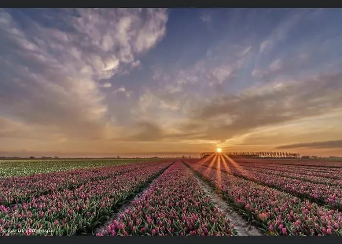 Dom wakacyjny Luxe Monumenten Pand Aan De Haven 10 Personen 5 Slaapkamers Goedereede
