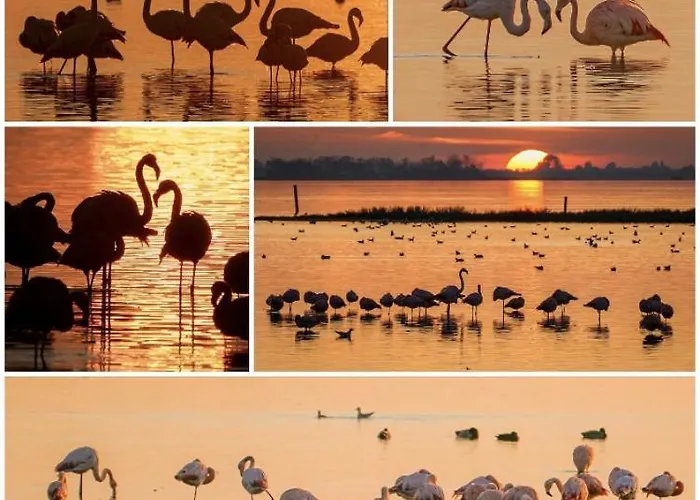 Dom wakacyjny Luxe Monumenten Pand Aan De Haven 10 Personen 5 Slaapkamers