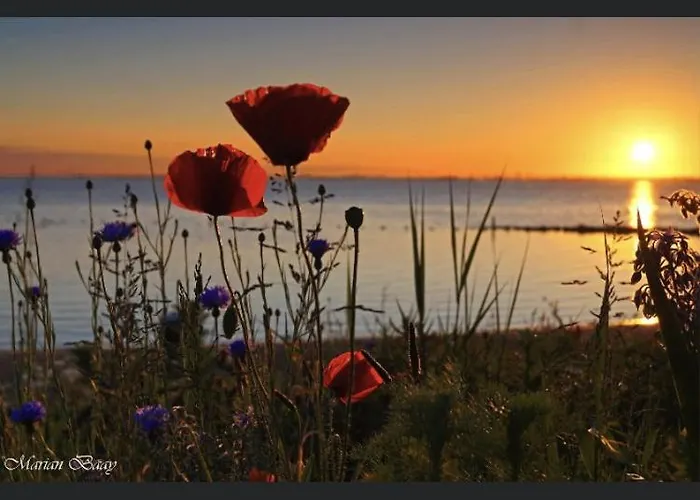Luxe Monumenten Pand Aan De Haven 10 Personen 5 Slaapkamers * Goedereede